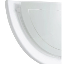 Halbmondförmige Wandleuchte aus Glas