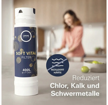 Grohe Blue Soft Vital Filter zur Reduzierung von Chlor, Kalk und Schwermetallen