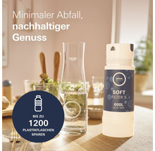 Grohe Blue Wasserfilter mit Karaffe für weniger Plastikmüll