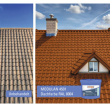 Dach mit unbehandelten und mit Dachfarbe RAL 8004 behandelten Ziegeln