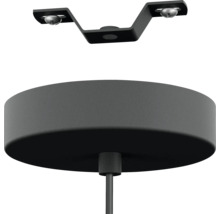 Deckenleuchtenmontage mit Halterung und Deckenbaldachin