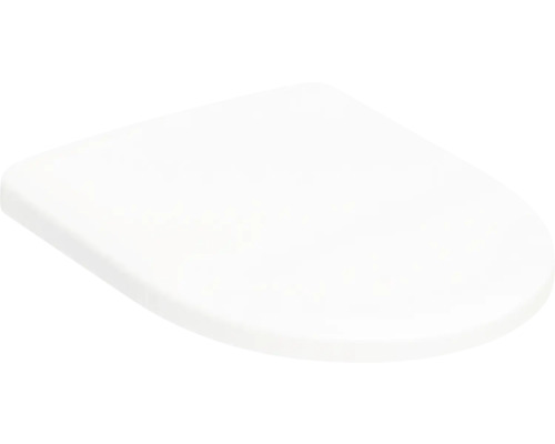 Toilettendeckel