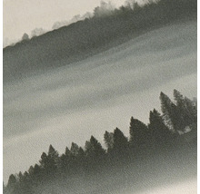 Strukturierte Vliestapete mit Waldmotiv und Tannenbäumen im Nebel