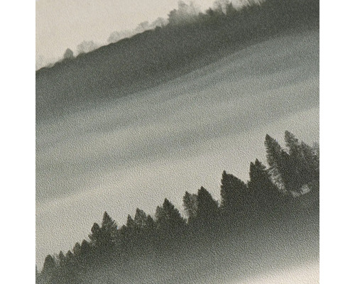 Strukturierte Vliestapete mit Waldmotiv und Tannenbäumen im Nebel