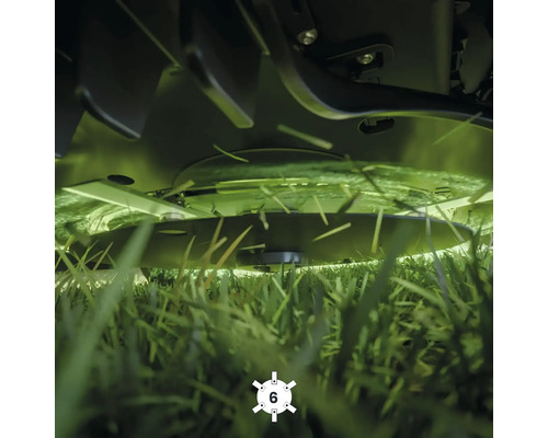 Rasenmäher beim Schneiden von Gras