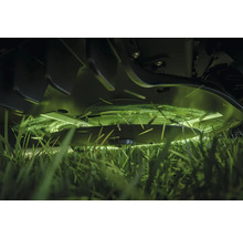 Detailaufnahme eines Rasenmähers beim Schneiden von Gras