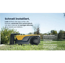 Gelber und grauer Rasenmähroboter auf einer Rasenfläche.