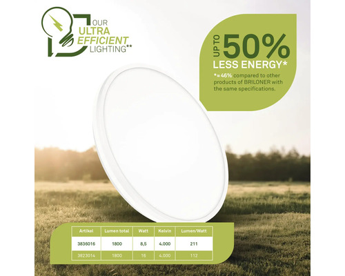 Briloner Lampe mit Informationen zu Energieeffizienz und technischen Daten