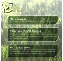 Informationen zur Energieeffizienz von Ultra Efficient Beleuchtung
