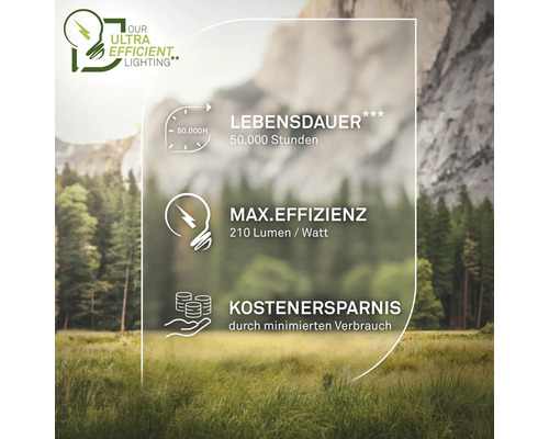 Informationen zur Lebensdauer, maximalen Effizienz und Kostenersparnis der Beleuchtung