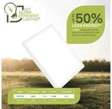 Briloner Lampe mit der Aufschrift bis zu 50 Prozent weniger Energie