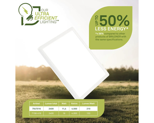 Briloner Lampe mit der Aufschrift bis zu 50 Prozent weniger Energie