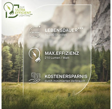 Grafik mit Informationen zu Lebensdauer, maximaler Effizienz und Kosteneinsparungen von Leuchtmitteln