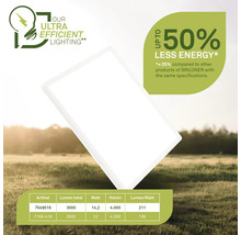 Briloner Lampe mit dem Hinweis auf bis zu 50 Prozent weniger Energieverbrauch und Tabelle mit technischen Daten