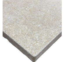 Natursteinplatte mit strukturierter Oberfläche und bearbeiteter Kante.