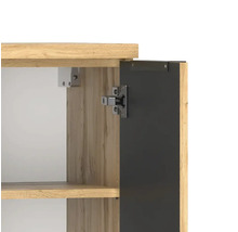 Detailansicht eines Schrankscharniers an einer schwarzen Tür und einem Korpus in Holzoptik.