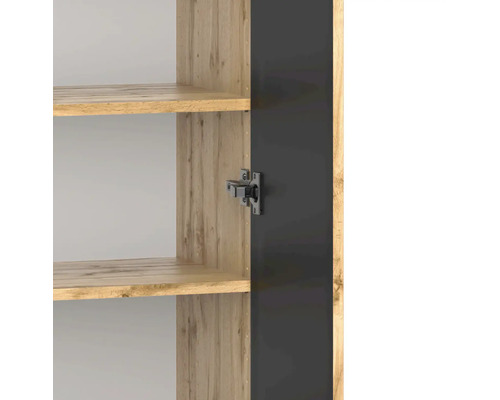 Detailansicht des Schrankinneren mit Einlegeböden in Holzoptik und einem Metallscharnier an der dunklen Tür.