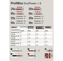 Profibox mit Dübeln und Schrauben verschiedener Größen und Anwendungsbeispiele