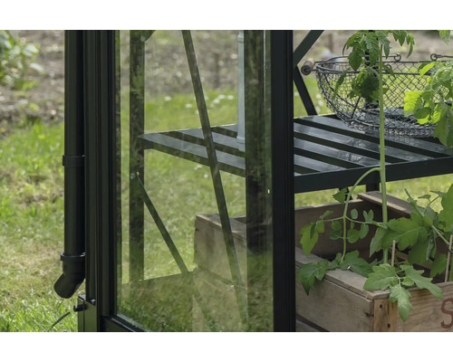 Detailansicht eines Gewächshauses mit Regalen und Pflanzen