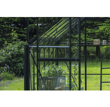 Detailansicht eines Gewächshauses mit Pflanzen und Gartenzubehör