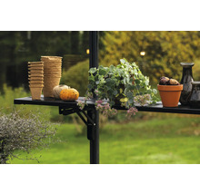 Pflanztöpfe, Kürbis, Pflanze und Kastanien auf einem Regal