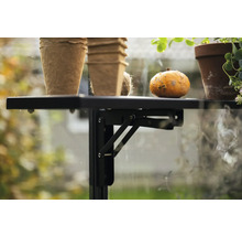 Schwarzes Gewächshausregal mit Töpfen und Kürbis