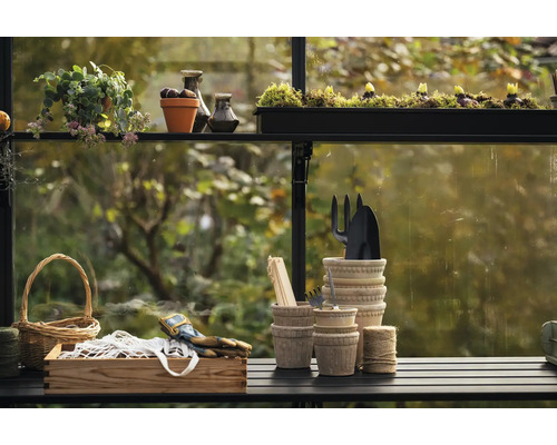 Szene mit Gartengeräten, Pflanzen und Dekorationen in einem Gewächshaus