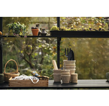 Szene mit Gartengeräten, Pflanzen und Dekorationen in einem Gewächshaus