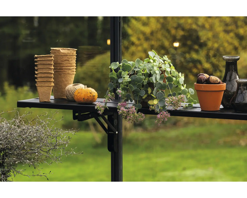 Pflanztöpfe, Kürbis, Pflanze und Kastanien auf einem Regal