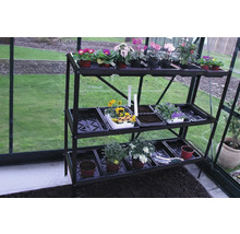 Dreistufiges Gewächshausregal mit Pflanzen und Aussaatschalen