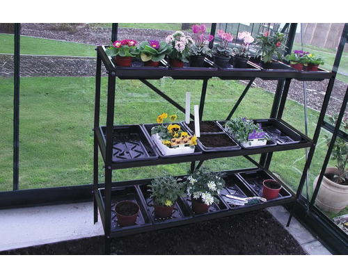 Dreistufiges Gewächshausregal mit Pflanzen und Aussaatschalen