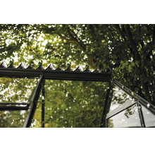 Detailaufnahme eines Gewächshauses mit Glas und Metallrahmen