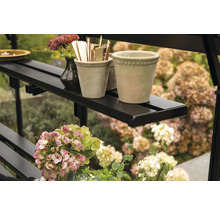 Regal mit Pflanzen und Dekoration im Gewächshaus