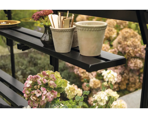 Regal mit Pflanzen und Dekoration im Gewächshaus