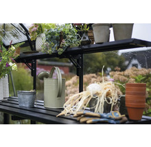 Gewächshausregal mit Gießkanne, Pflanzgefäßen und Gartenzubehör