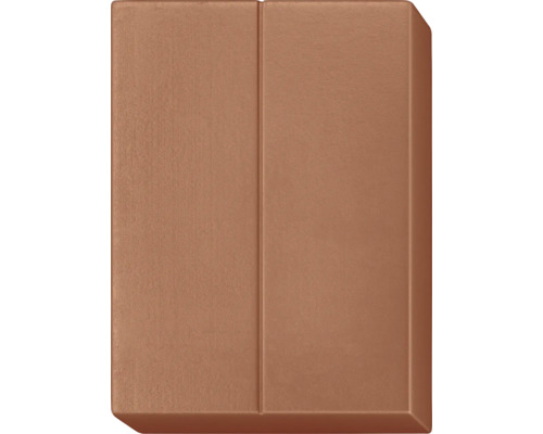 Ein brauner Lichtschaltereinsatz