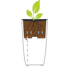 Darstellung des Bewässerungssystems eines Pflanzgefäßes mit Pflanze
