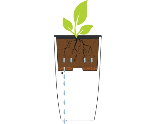 Darstellung des Bewässerungssystems eines Pflanzgefäßes mit Pflanze