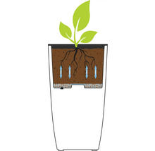 Illustration eines Pflanzgefäßes mit Bewässerungssystem und Pflanze