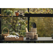 Gartenarbeitsszene mit Pflanzen, Gartengeräten, Töpfen und Accessoires auf einem Tisch im Gewächshaus.