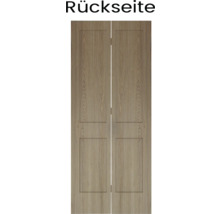 Rückseite einer Holztür mit zwei Füllungen