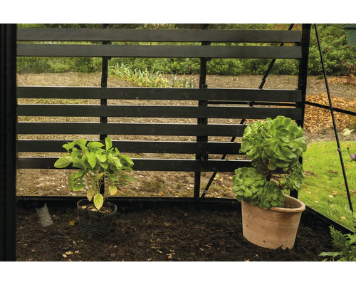 Gewächshaus-Interieur mit Pflanzen in Töpfen vor einem schwarzen Holzgitter