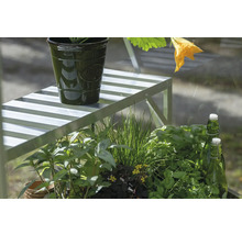 Gartenszene mit Pflanzen, Pflanzgefäß, Regal und Flaschen