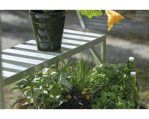 Gartenszene mit Pflanzen, Pflanzgefäß, Regal und Flaschen