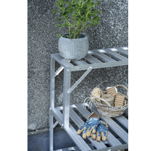 Gartenszene mit Pflanze in Topf auf einem Regal mit Gartengeräten.