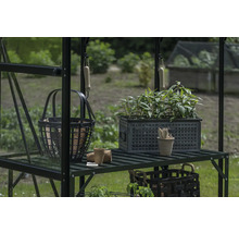 Gewächshausregal mit Pflanzen, Gartenwerkzeug und Körben