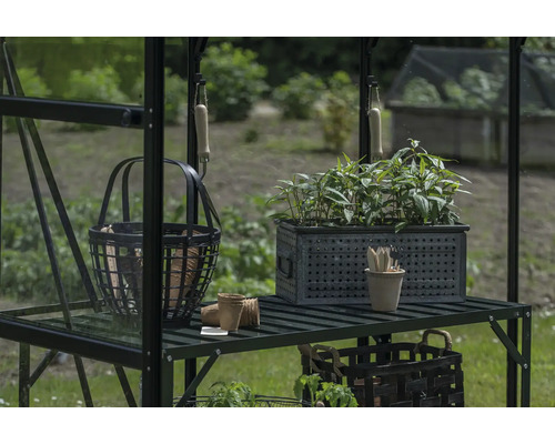 Gewächshausregal mit Pflanzen, Gartenwerkzeug und Körben