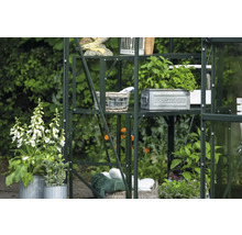 Gewächshausregal mit Pflanzen, Dekorationen und Gartenaccessoires im Garten.