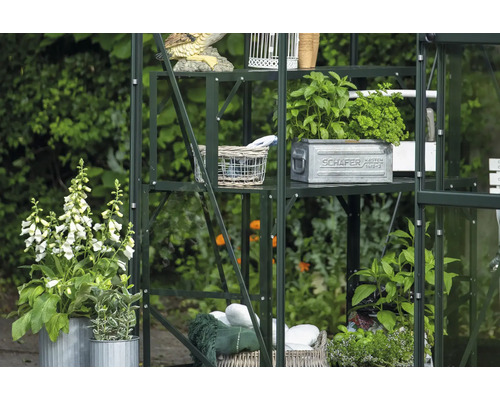 Gewächshausregal mit Pflanzen, Dekorationen und Gartenaccessoires im Garten.