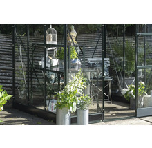 Gewächshaus mit Regalen, Pflanzen, Dekorationen und Gartenmöbeln